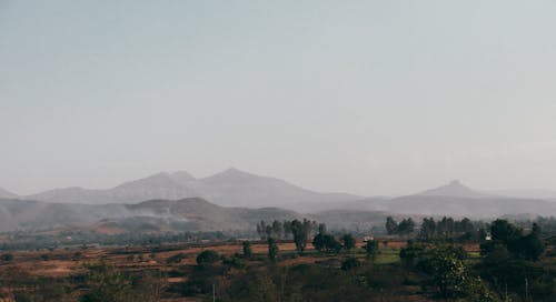 Field with Green Trees near the Foggy Mountains