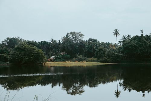 Free Tranquil lake reflecting lush forest under a blue sky, perfect for nature photography. Stock Photo