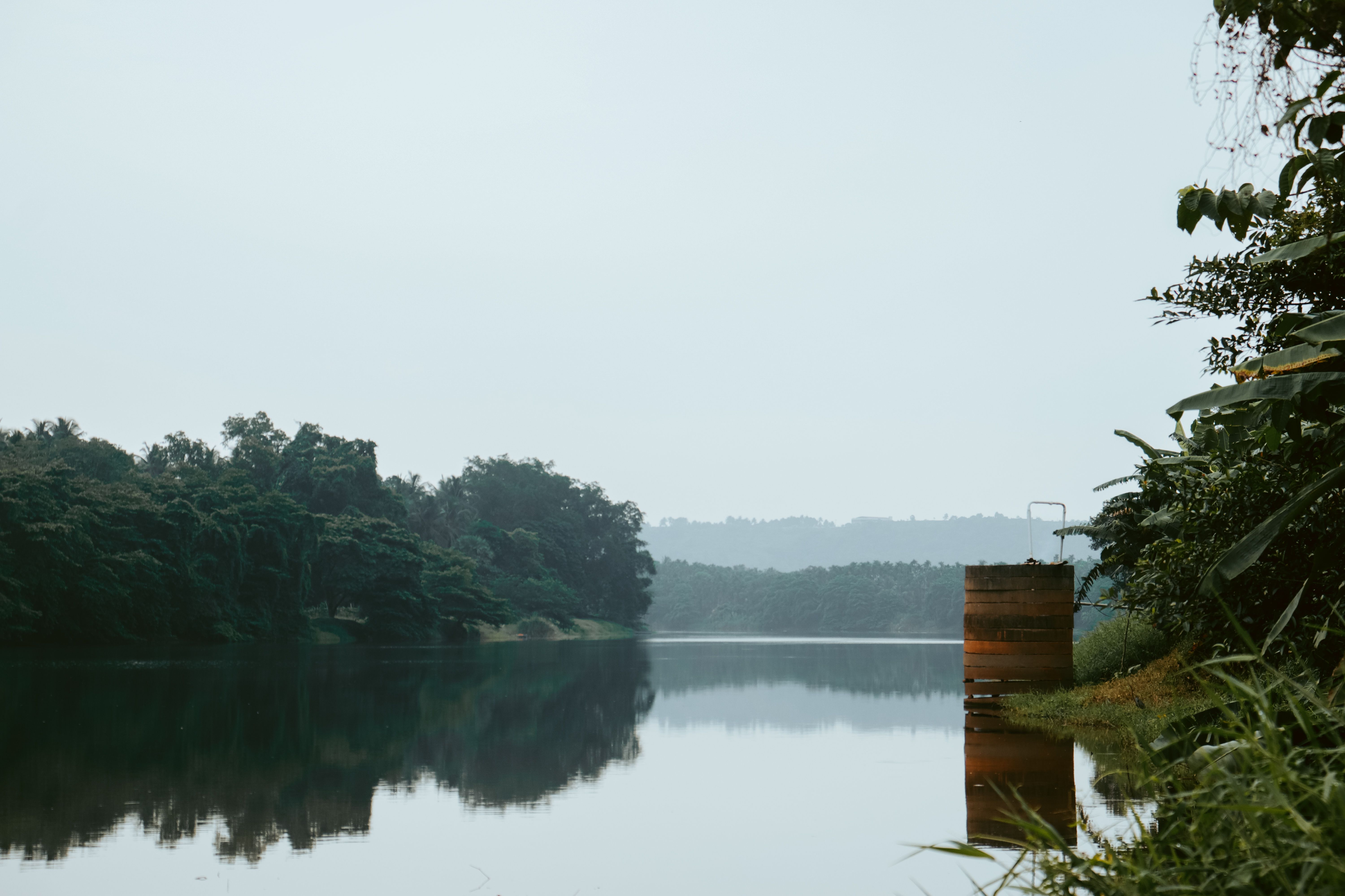 Trees near a foggy lake, Liberia