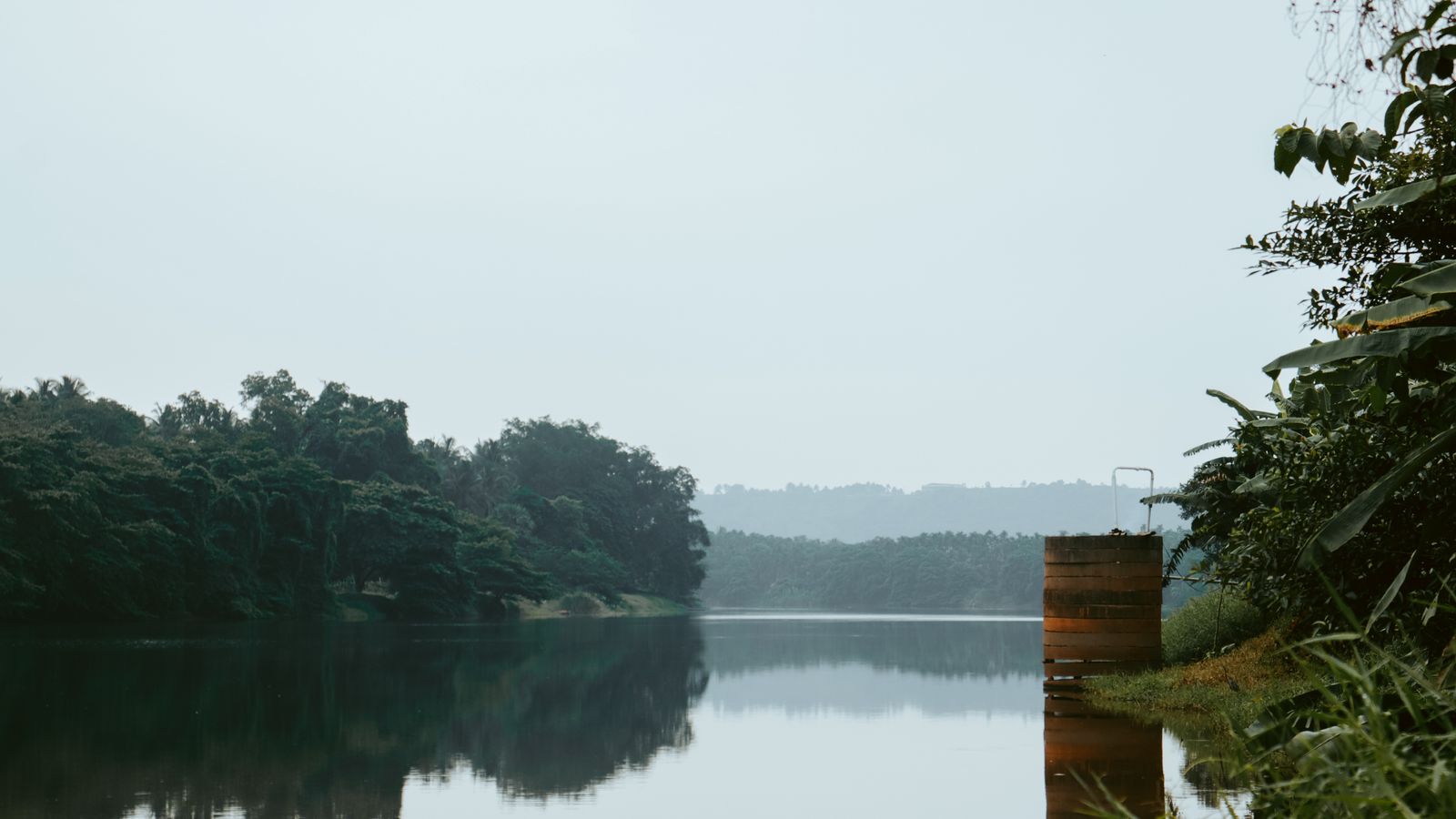 Trees near a foggy lake, Liberia