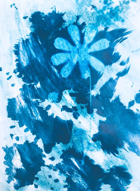 Artistic cyanotype print featuring abstract floral patterns in vivid blue tones.