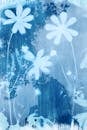 Flowers in the Style of Cyanotype Photography