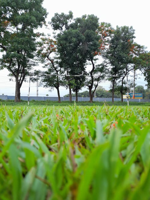 Free stock photo of football field