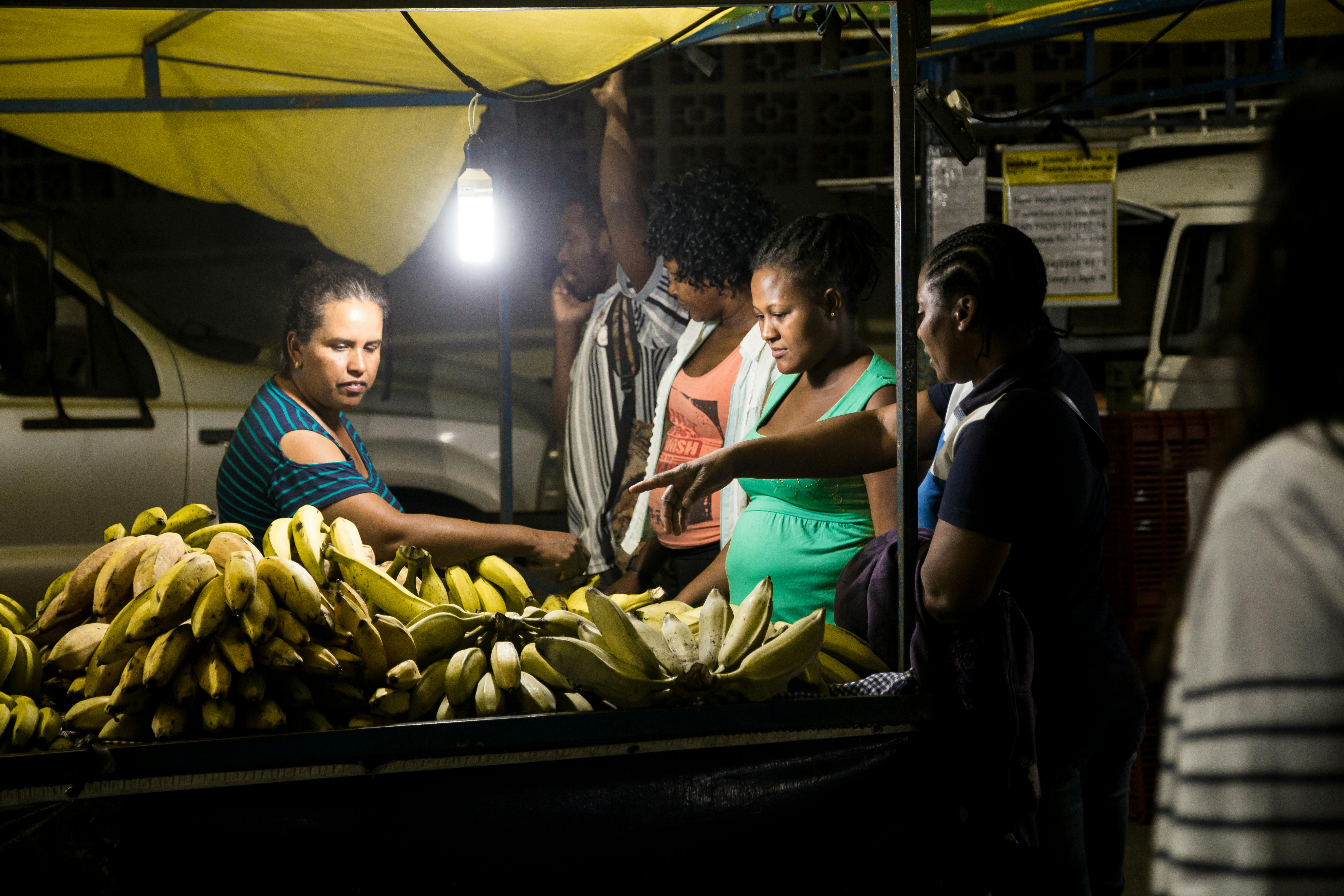 Woman Picking Unripe Bananas · Free