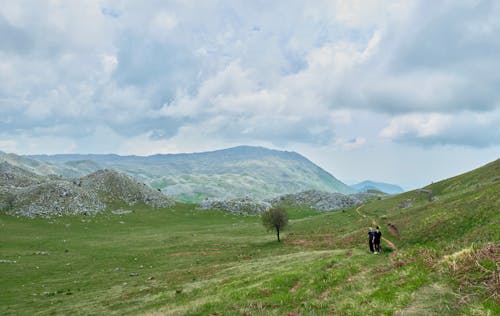 People Walking on Green Grass Field