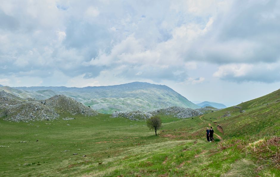 Discover Nigeria's Hidden Hiking Gems: Trails You Can't Miss