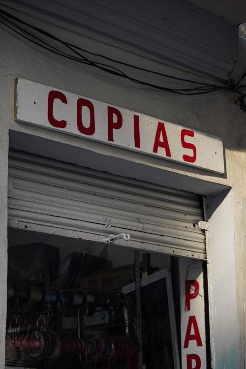 コピアス, ぶら下がり, 垂直ショットの無料の写真素材