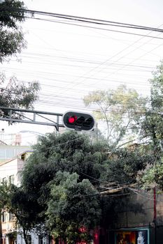 Red traffic light amidst city buildings and trees, capturing urban life.
