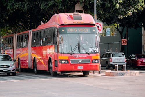 Red Bus on Road