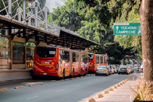 Free Buses and Cars on Road Stock Photo