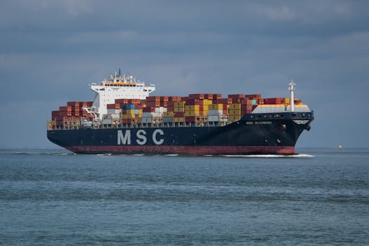 Majestic cargo ship MSC sailing through Netherlands waters, loaded with colorful containers.