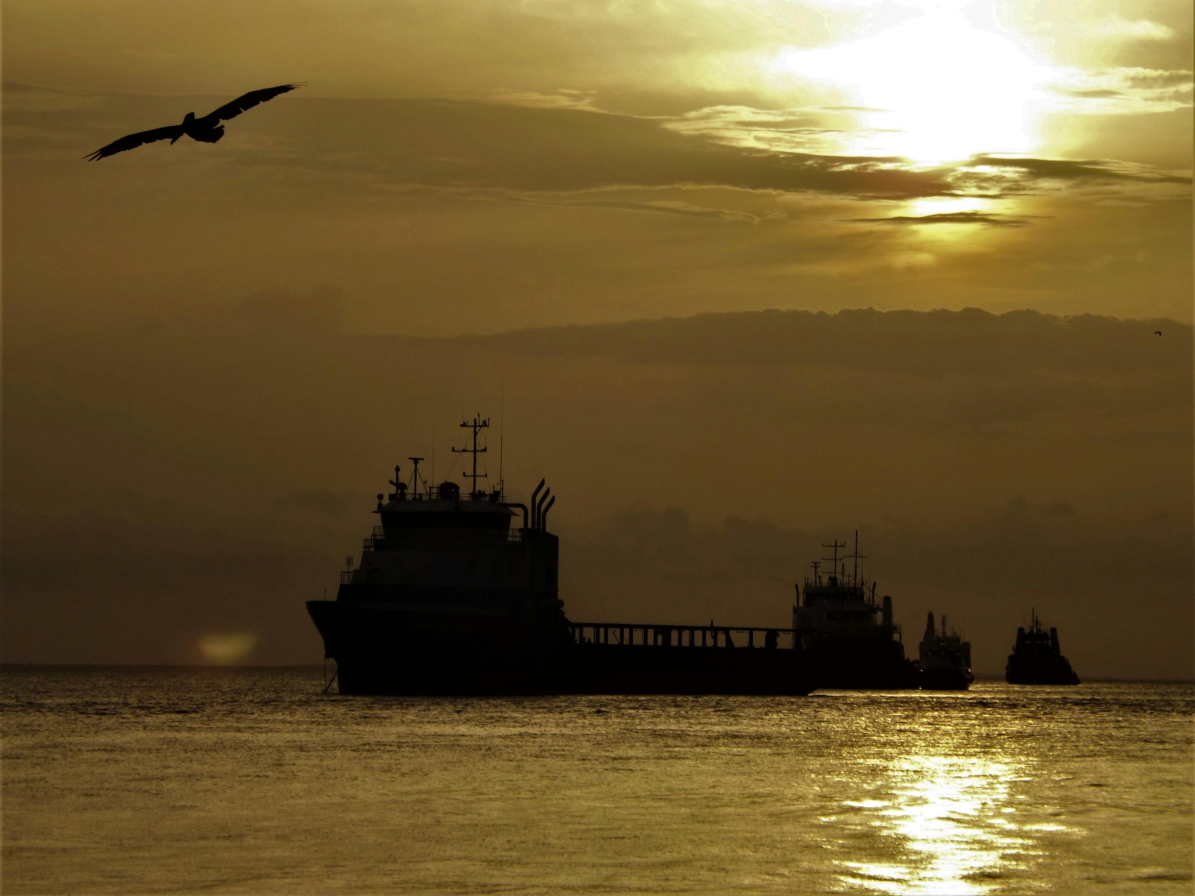 Silhouette of a Sailing Ship · Free Stock Photo