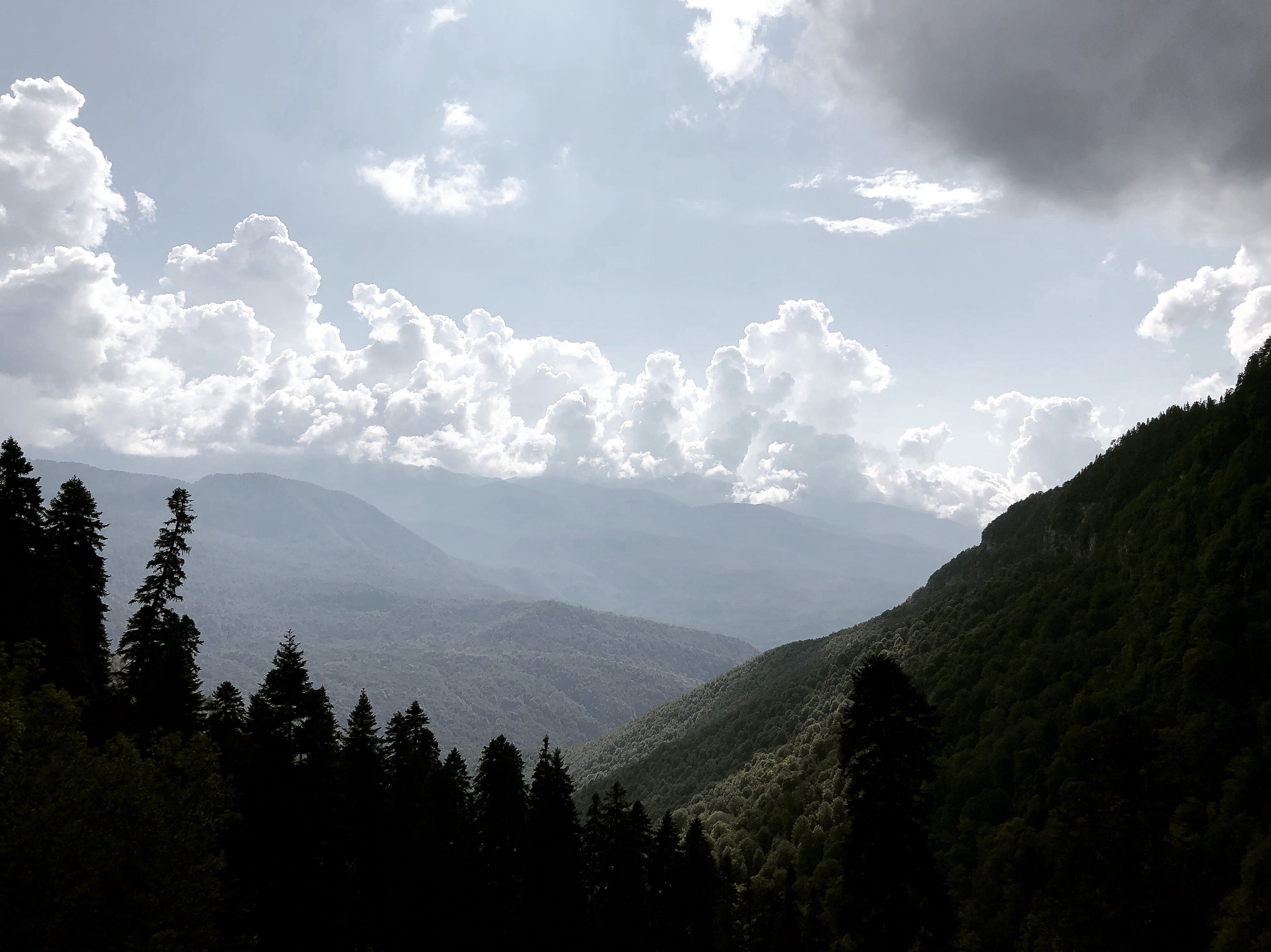 Green Trees on Mountain Under White Clouds · Free Stock Photo