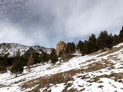 Green Trees and Rock Formation on the Slope of a Mountain
