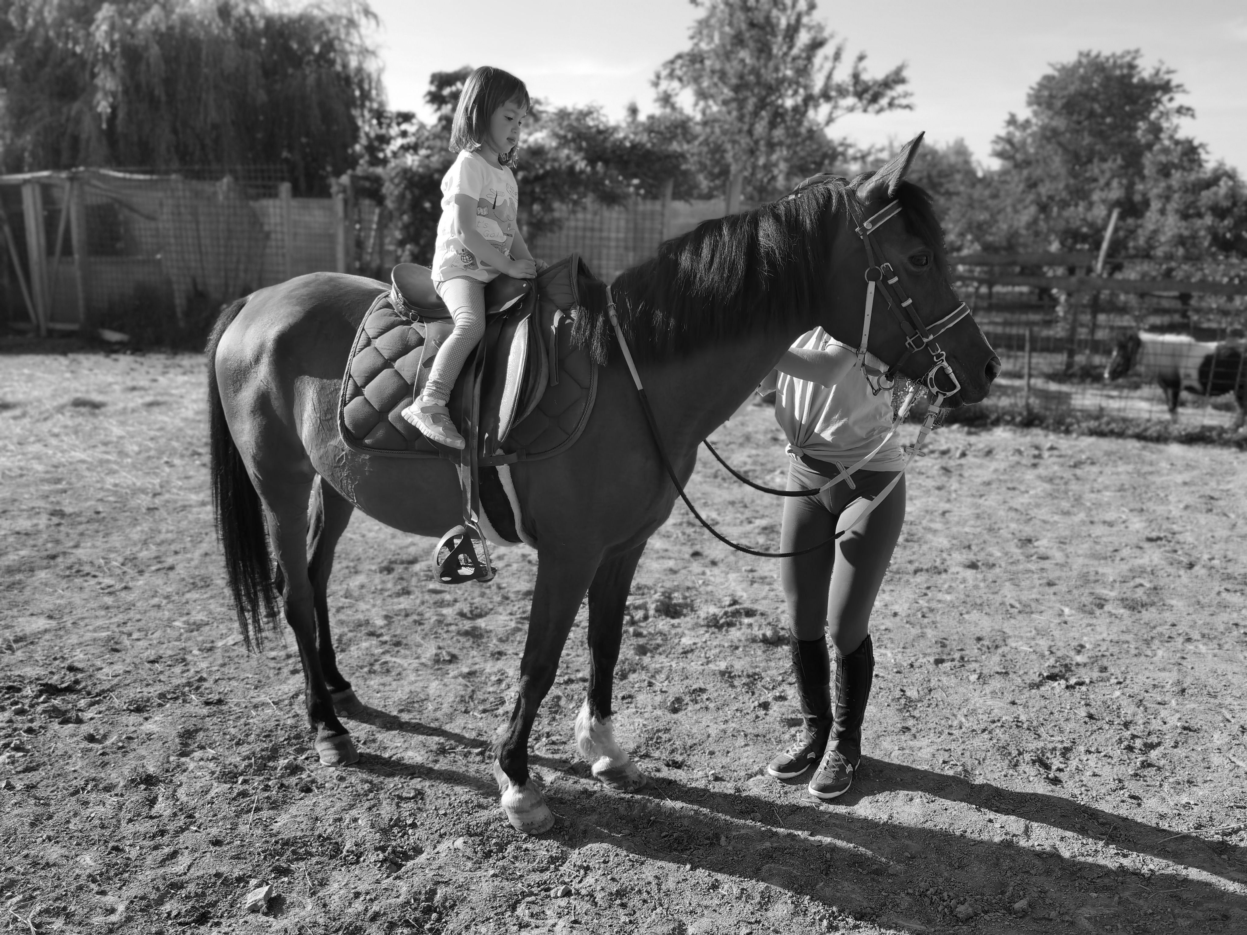 Black Women Riding Horse Photos, Download The BEST Free Black Women ...