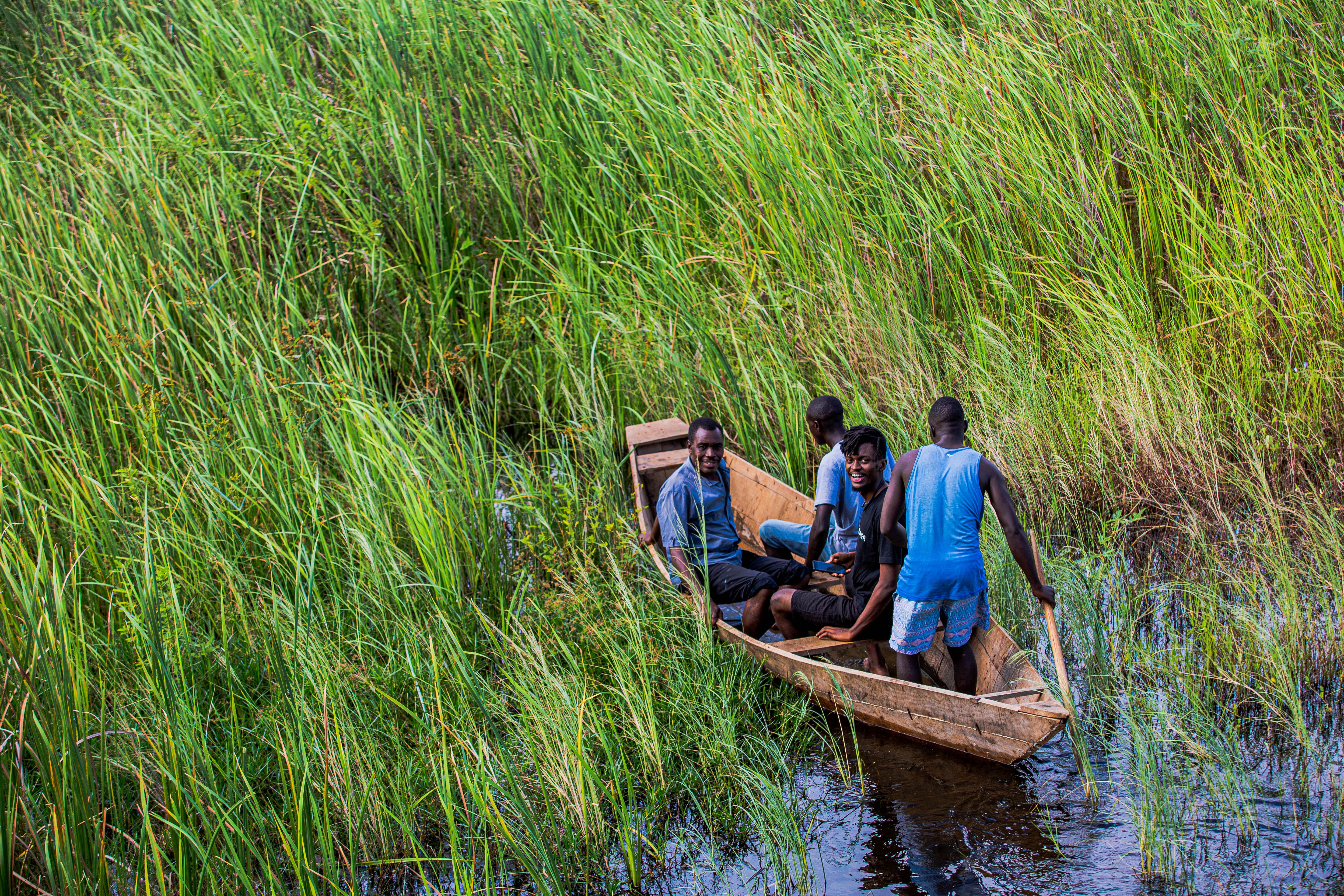 Group of men in a wooden boat amidst tall marsh grass.