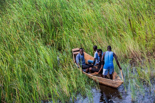 Fotobanka s bezplatnými fotkami na tému africkí muži, loď, močiar