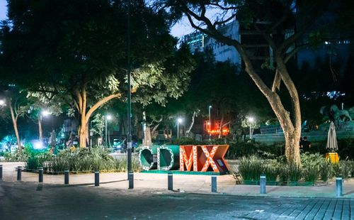 Free Night scene of the iconic CDMX sign illuminated in a city park in Mexico City, surrounded by trees and ambient lights. Stock Photo