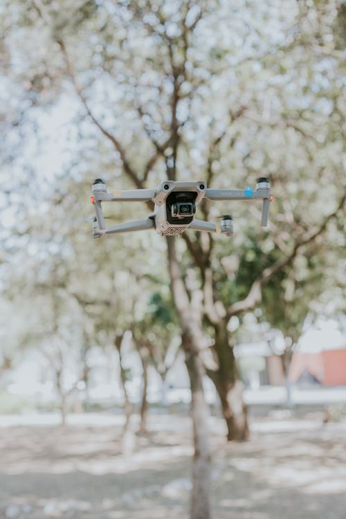 Free Aerial drone hovering in a sunlit park surrounded by trees. Stock Photo