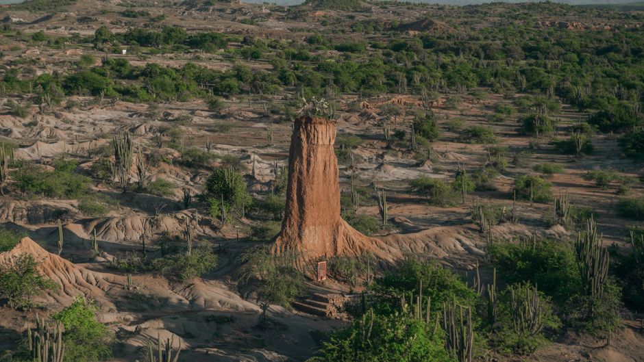 No es broma: vuelos directos a Jordania por solo 82 euros ida y vuelta