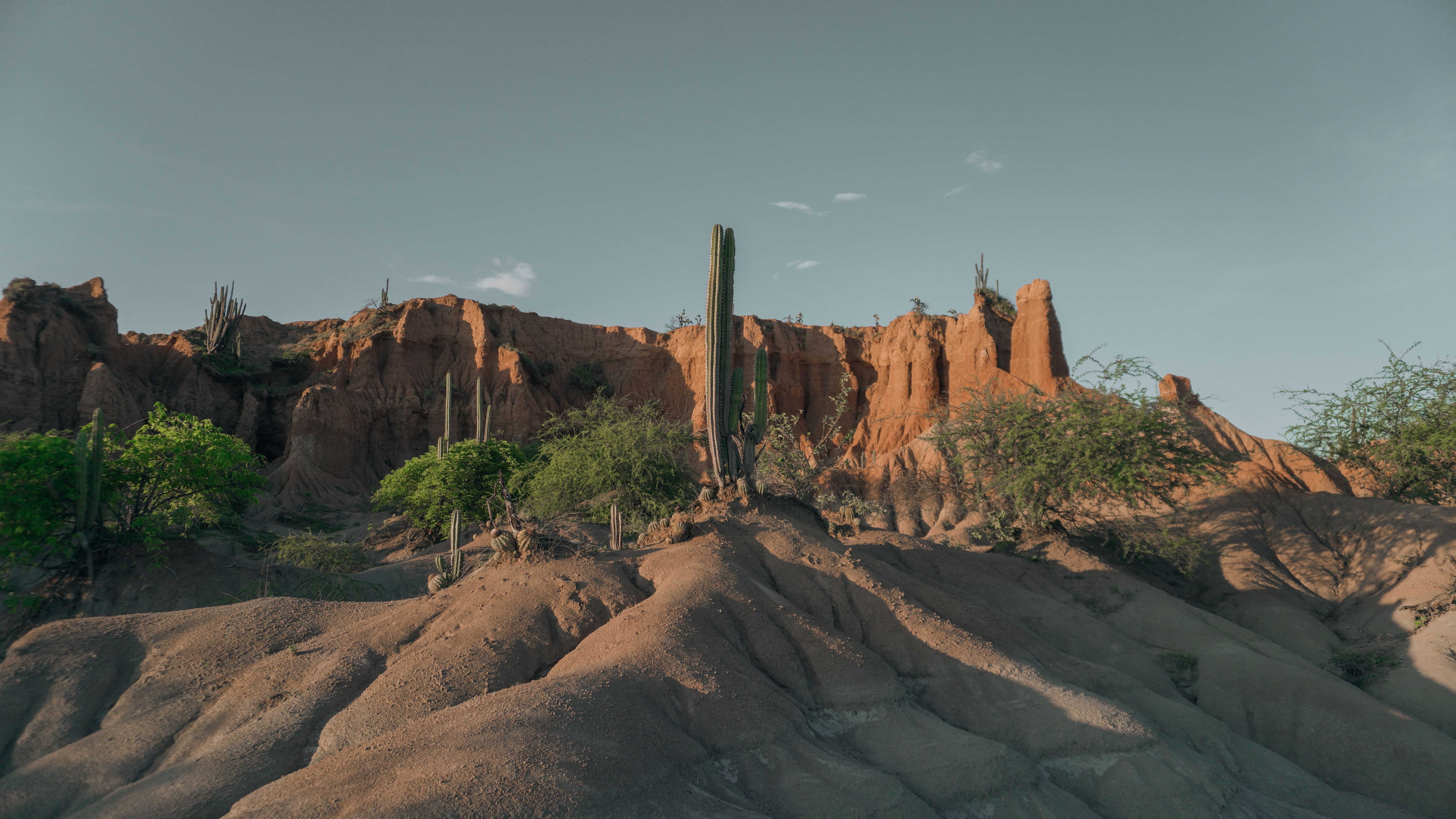 Stunning view of desert terrain and cacti against rocky cliffs in Colombia. - Desierto de la Tatacoa