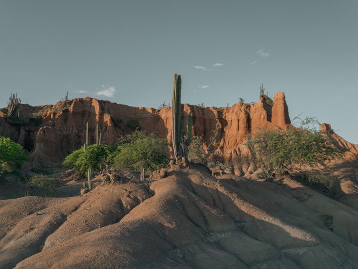 TESTE layout novo do artigo Cactos e vegetação seca diante de paredões rochosos no Deserto de la Tatacoa