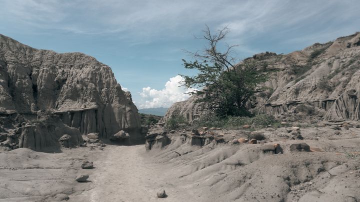 Caminho de terra entre formações erodidas no Deserto de la Tatacoa