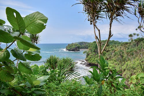 Kostenloses Stock Foto zu eart, grün, meer