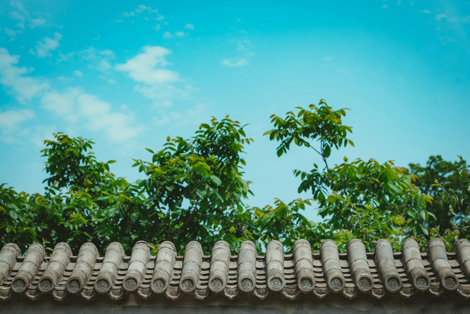 Ancient clay roof tiles with lush green trees under a bright blue sky.