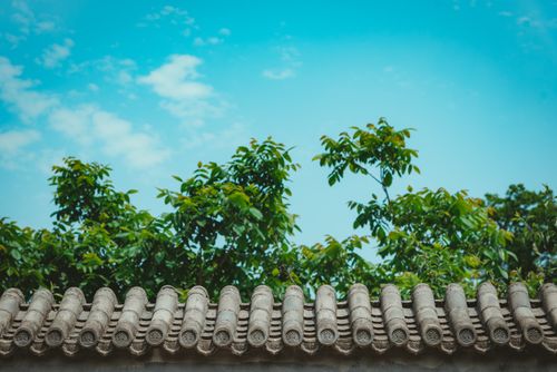 Free Ancient clay roof tiles with lush green trees under a bright blue sky. Stock Photo