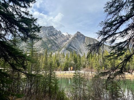 A picturesque view of a mountain landscape with pine trees and a serene lake reflecting natural beauty.