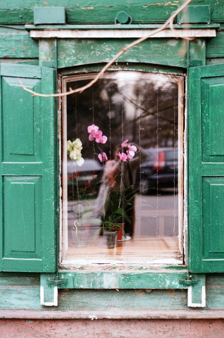 Reflection Of Photographer In Window