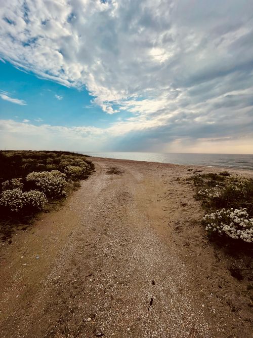 Free Beach road Stock Photo