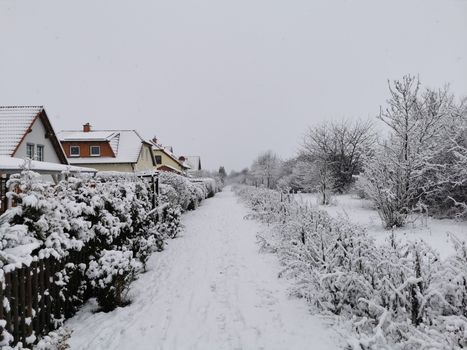 A tranquil winter scene of snow-covered houses and pathway in Erfurt, Germany.