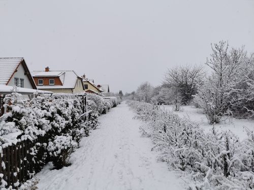 Free A tranquil winter scene of snow-covered houses and pathway in Erfurt, Germany. Stock Photo