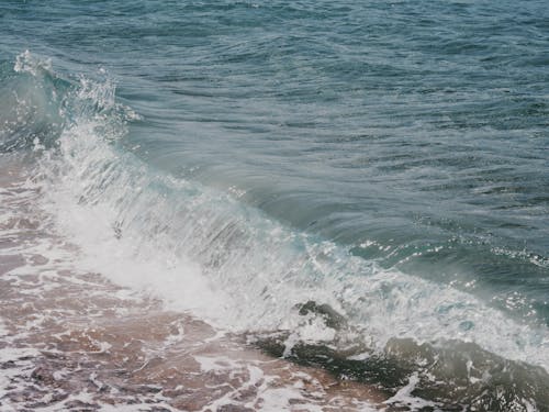 Ocean Waves Crashing on Shore