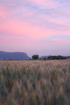 Green Grass Field Near Mountain