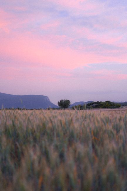 A peaceful countryside landscape with grasslands under a colorful twilight sky.