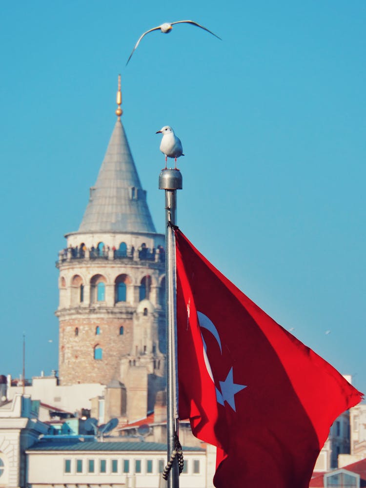 Red And White Flag On Pole