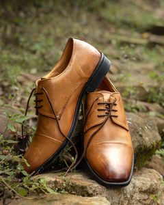 Stylish brown leather formal shoes placed on rocks in a natural setting.