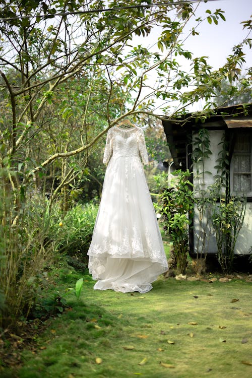 Free A White Wedding Gown Hanging on a Tree  Stock Photo