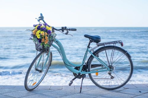 Free A charming bicycle with a flower-filled basket parked beside the ocean on a sunny day. Stock Photo