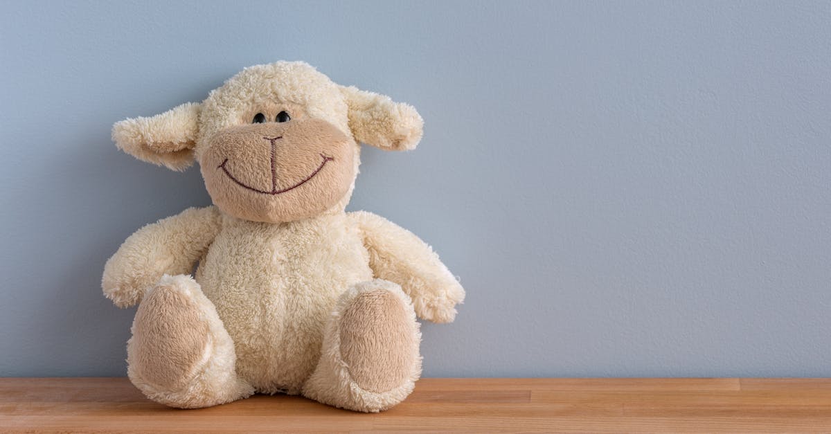 Free stock photo of cuddly toy, happy, smile
