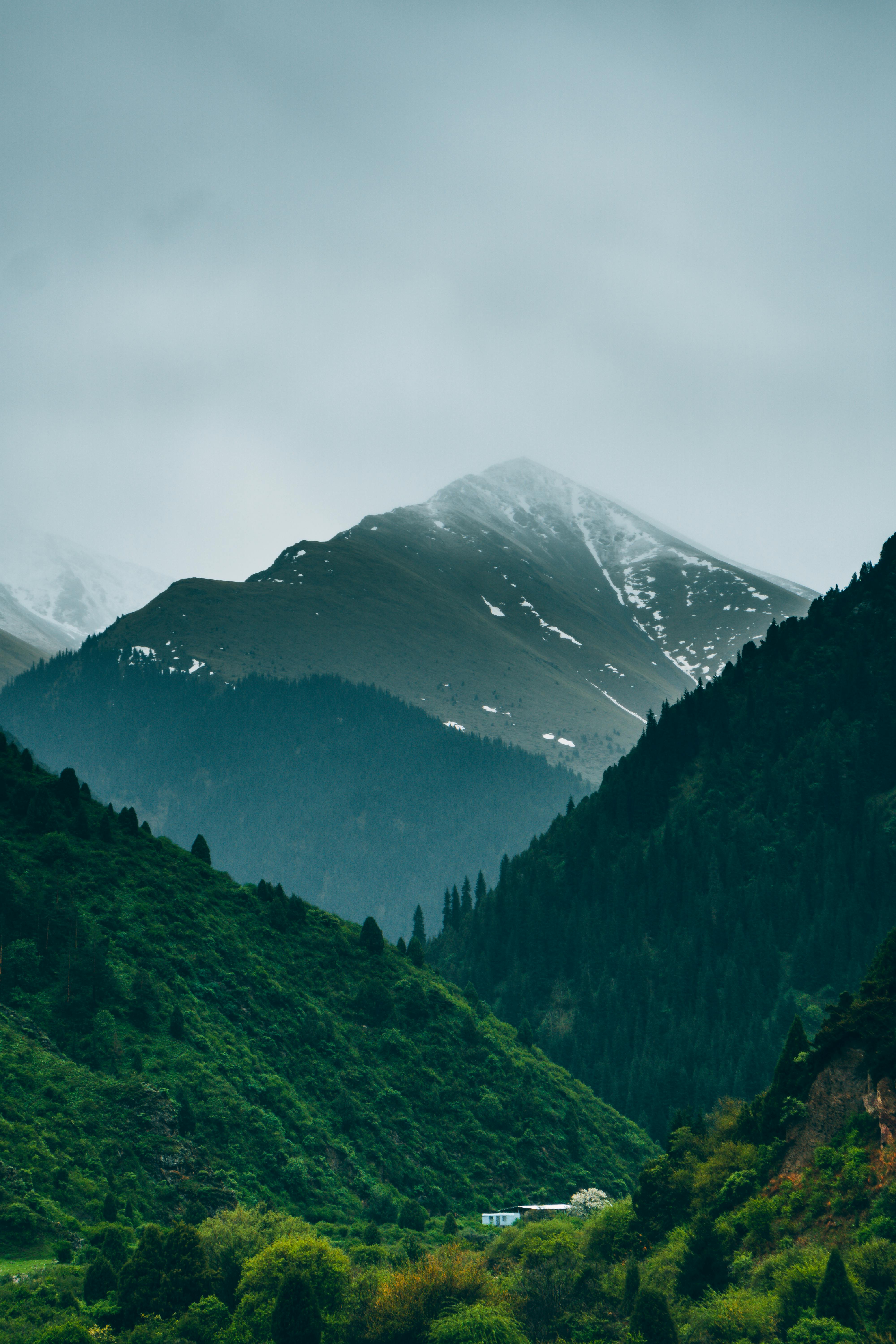 Prescription Goggle Inserts - Stunning mountain landscape with lush greenery and snow-capped peaks under a cloudy sky.