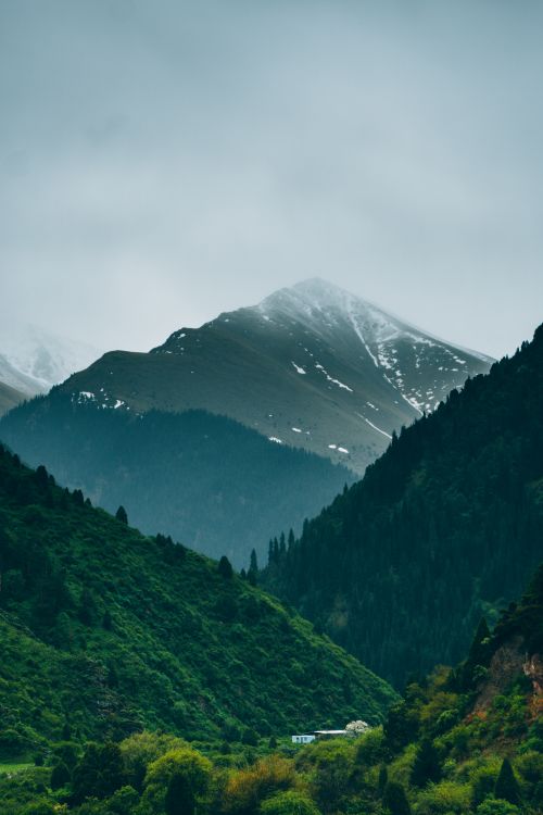 Free Stunning mountain landscape with lush greenery and snow-capped peaks under a cloudy sky. Stock Photo