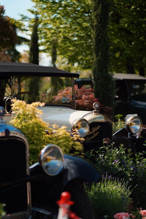 Gratis stockfoto met auto, bomen, buiten