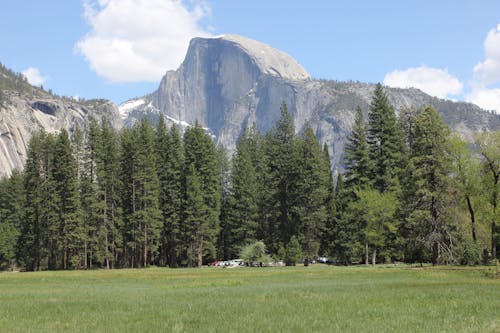 Miễn phí Ảnh lưu trữ miễn phí về california, cây, chụp ảnh thiên nhiên Ảnh lưu trữ