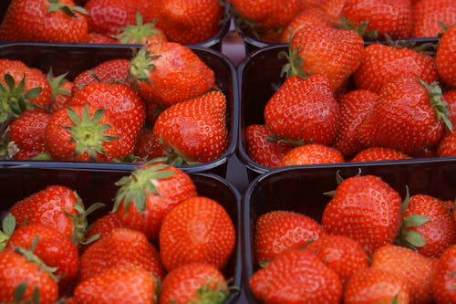 Groups of Strawberries in Black Containers