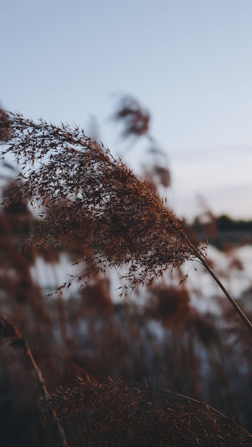 Fotobanka s bezplatnými fotkami na tému 4k pozadie, 4k tapety, cool pozadie pracovnej plochy