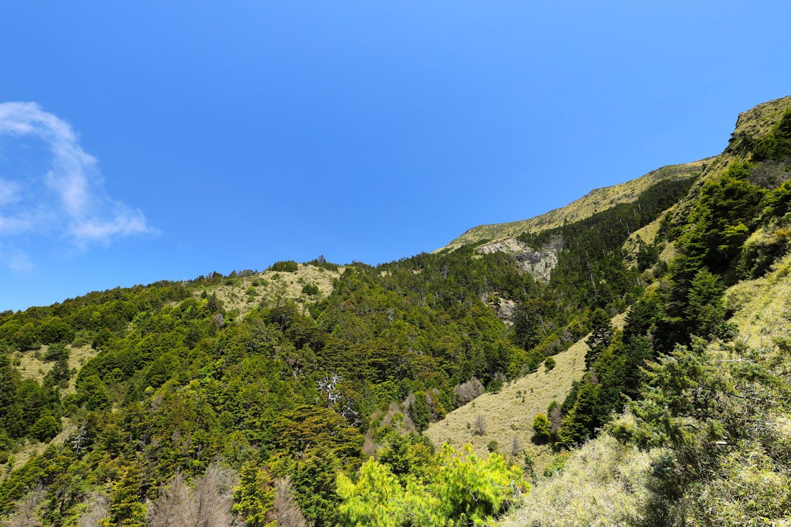 鐵本山登關山是由中級山攀登百岳的一條非傳統路線